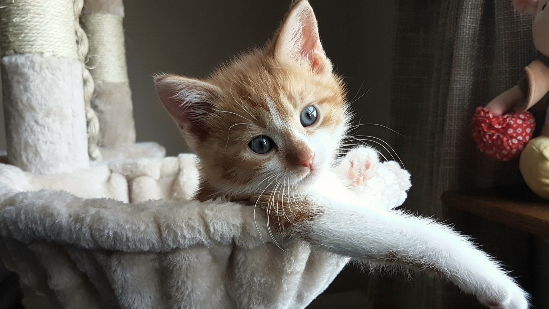 唯一性，终结王朝与定义时代