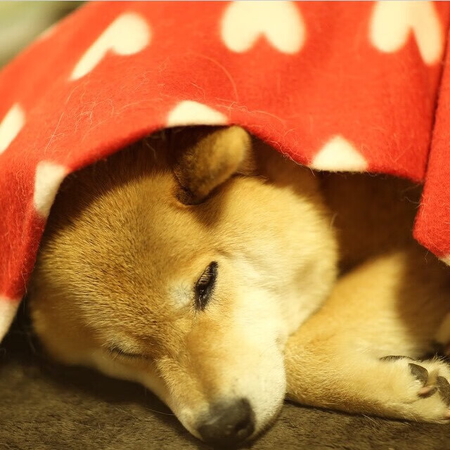 跨界接管，从NBA赛场到F1街道，当胜者意志突破界限