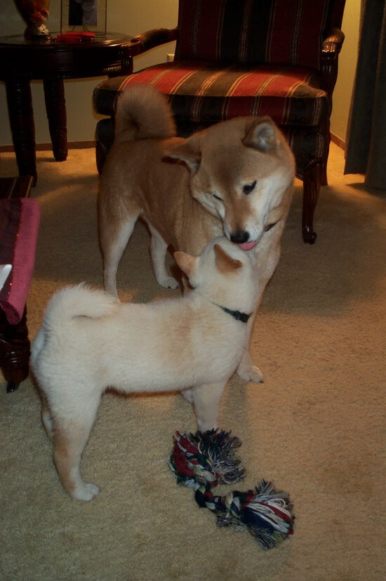 钢索与羽毛，当马刺的团队火力，遇上库里那记改写剧本的三分