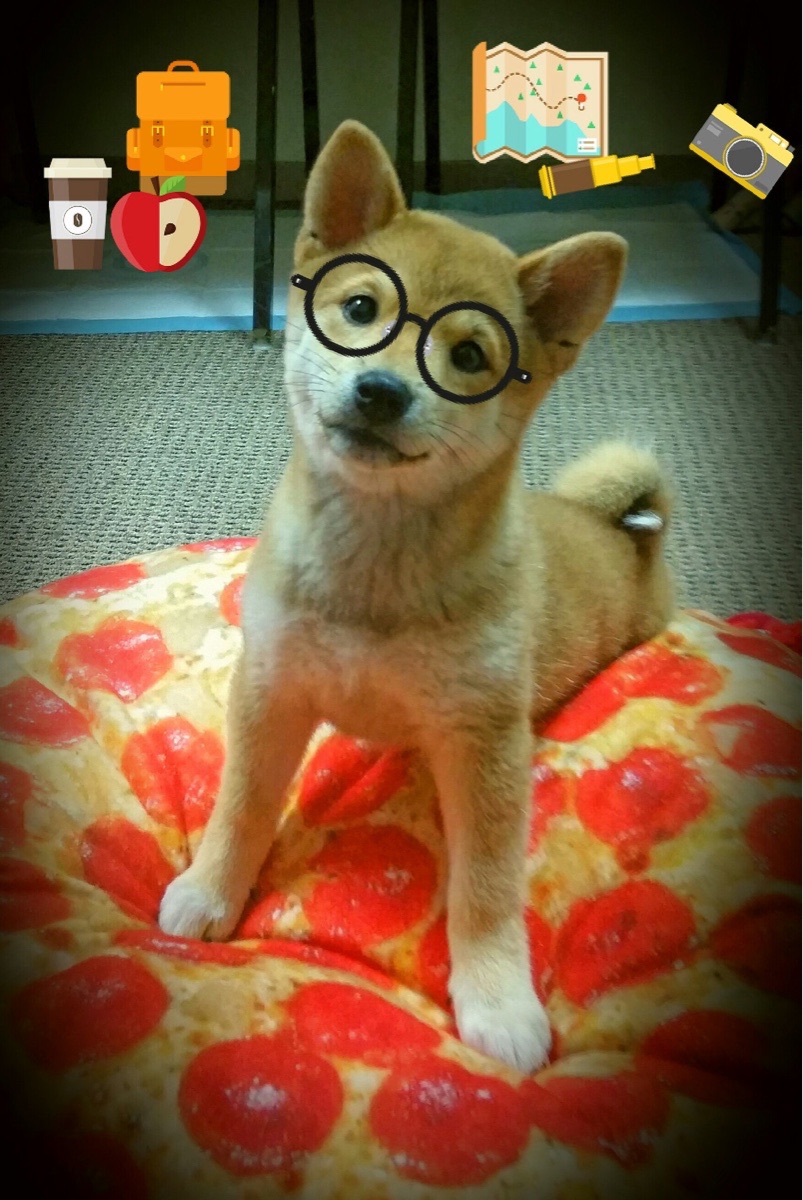 绿茵场上的归化史诗，恩佐一球定音，爱尔兰的唯一救赎