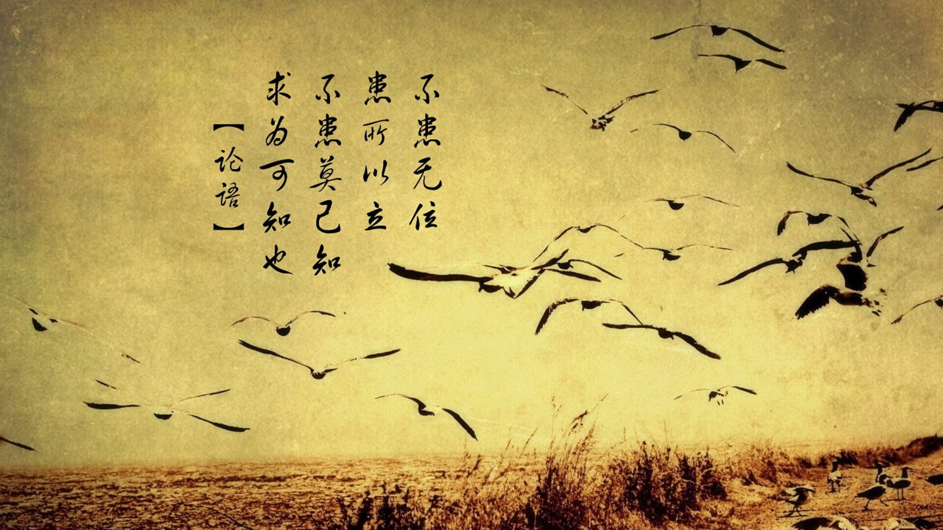 从沉默齿轮到致命武器,贝恩在迈阿密压力熔炉中的淬火之夜