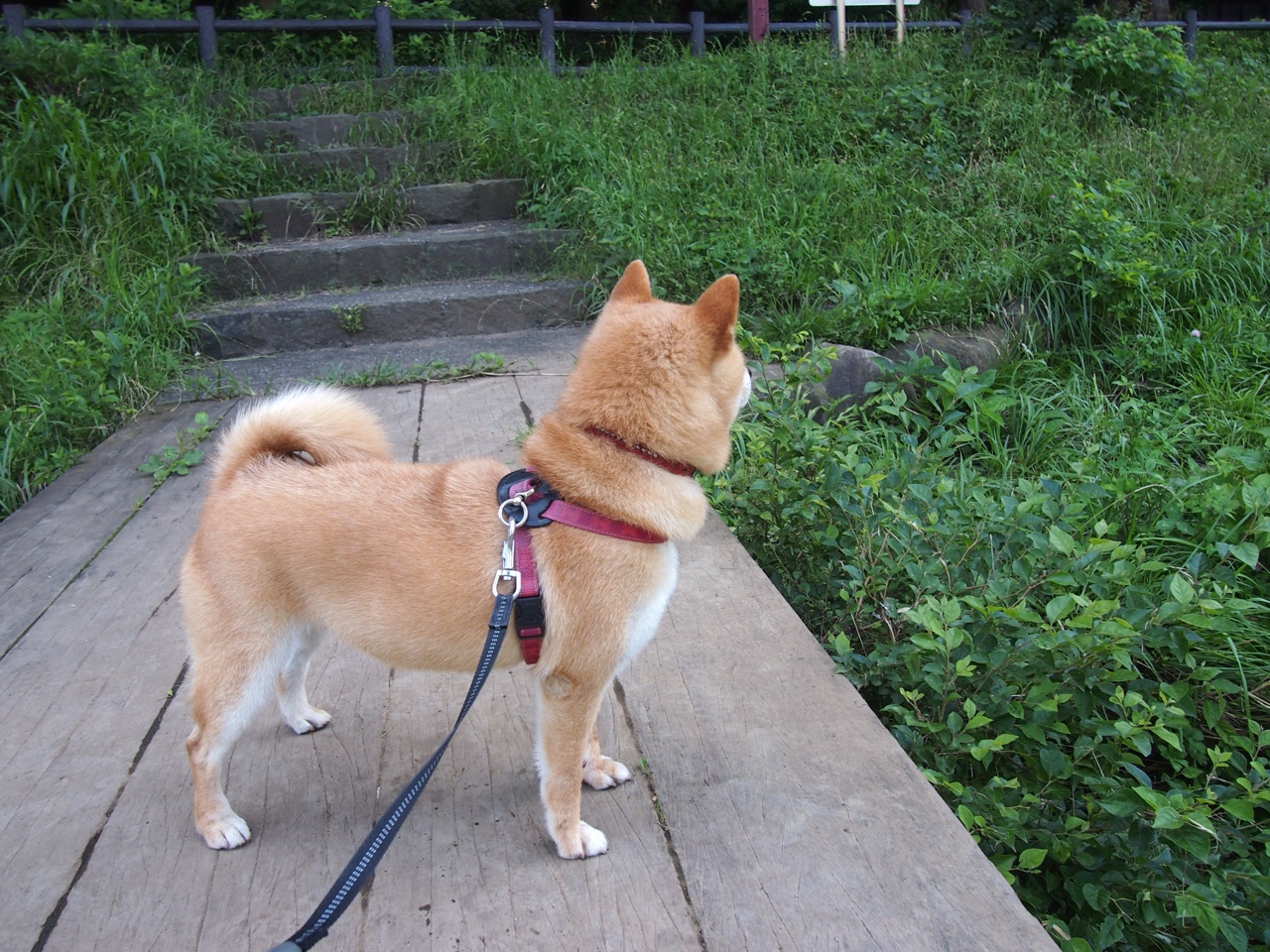 幽灵降临,当詹姆斯在另一片球场改写老鹰与步行者的命运