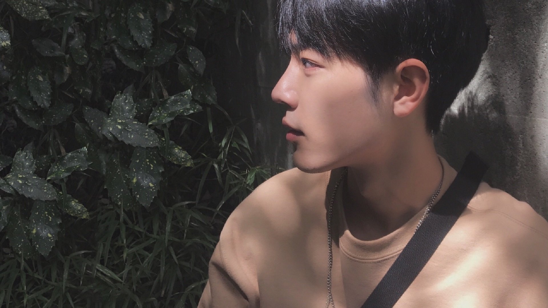 篮球世界的双重奏,国王轻取深圳,小贾伦欧冠决赛称王