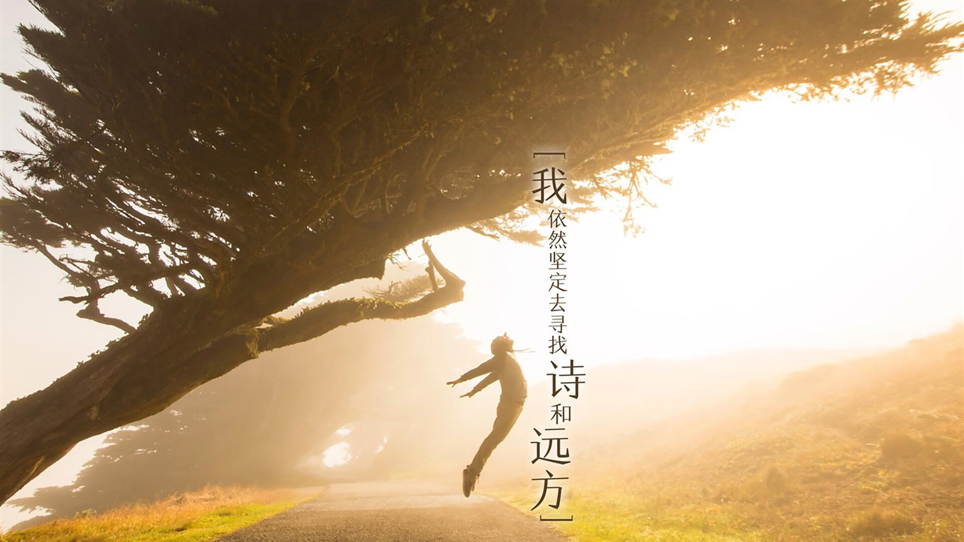 东欧铁骑的致命逆袭，2026世界杯C组，匈牙利如何用防守反击撕碎日本，哈兰德化身孤胆英雄