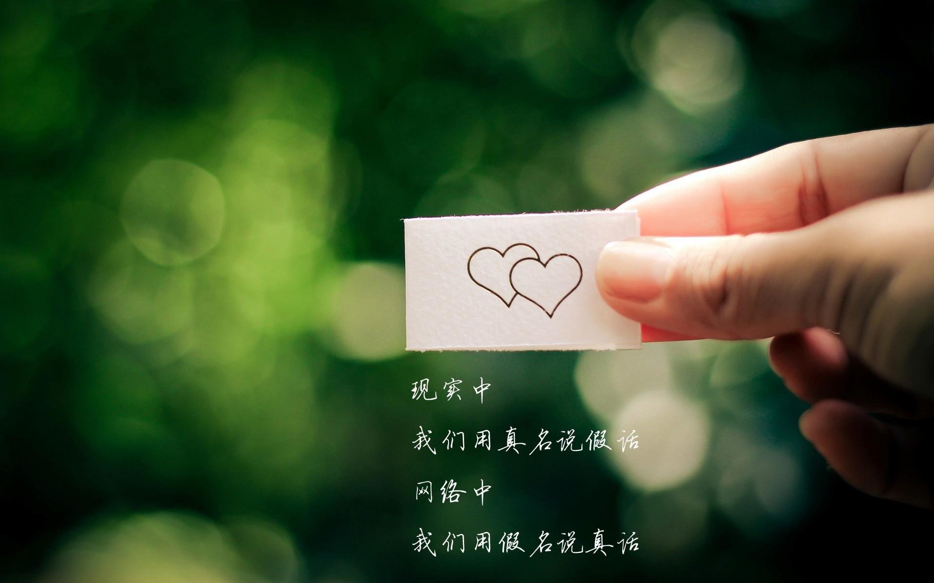 绝境中的葡式优雅,2026世界杯D组关键战,罗德里戈导演逆转,战术纪律碾压橙衣军团