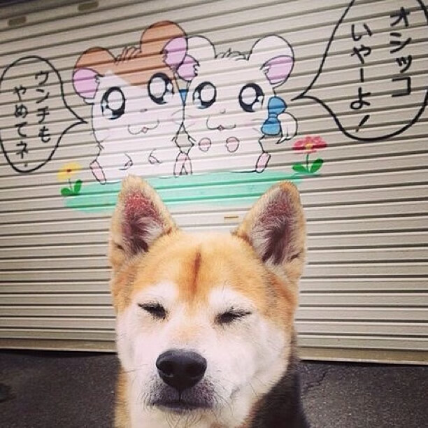 扩展(思维发散)